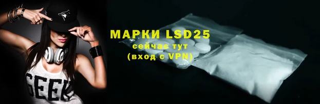 apvp Дмитров