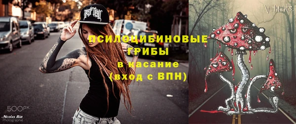 apvp Дмитров