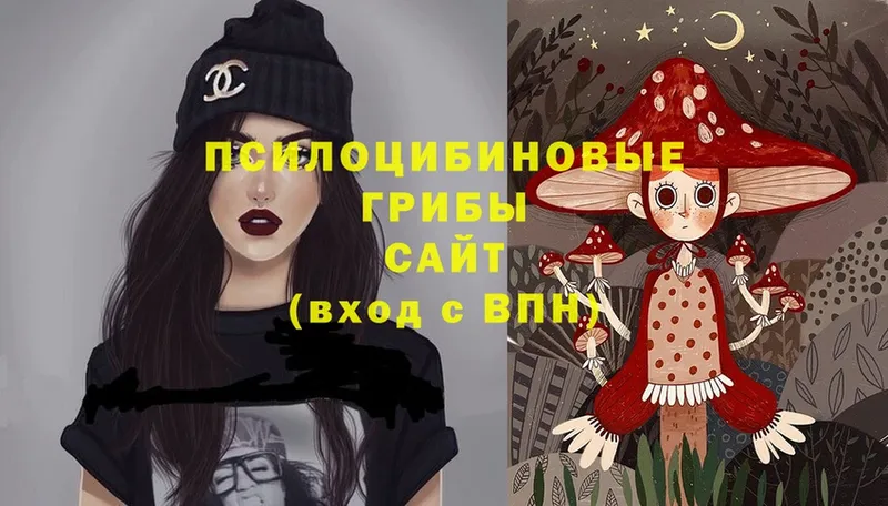 shop официальный сайт  где продают наркотики  Жиздра  Псилоцибиновые грибы MAGIC MUSHROOMS 