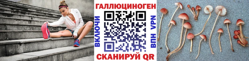 Галлюциногенные грибы прущие грибы  KRAKEN онион  Жиздра 